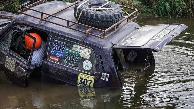 在这个过程 在这个过程