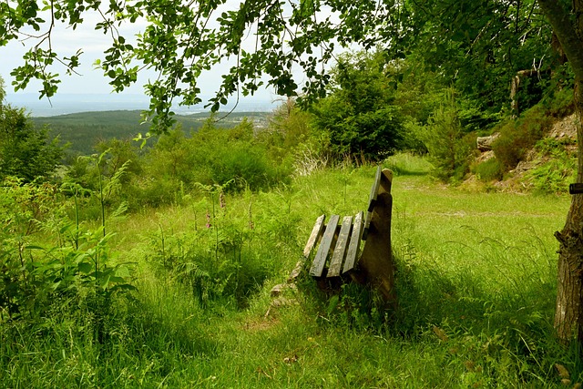 輕前鋒特林 輕前鋒特林