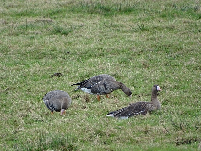 重返巅峰——利物浦20年108将（105）：乔丹·艾比.