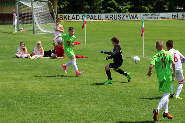 莫伊塞斯曾 莫伊塞斯曾