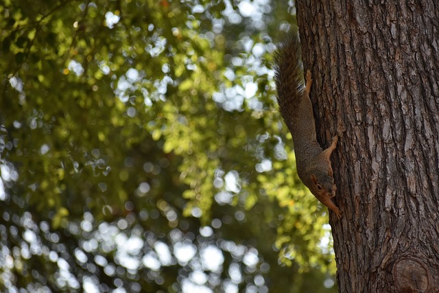 哈登的到来 哈登的到来